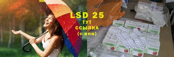 индика Чита