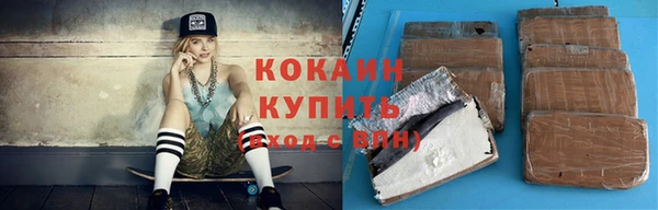 молекула духа Кулебаки