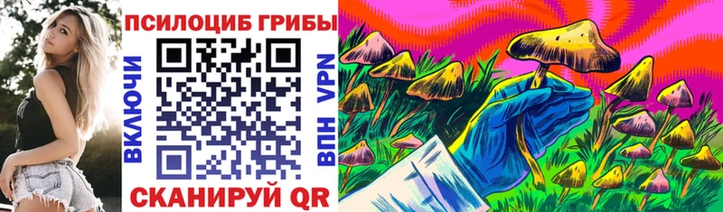 мега tor  Липецк  Псилоцибиновые грибы GOLDEN TEACHER 