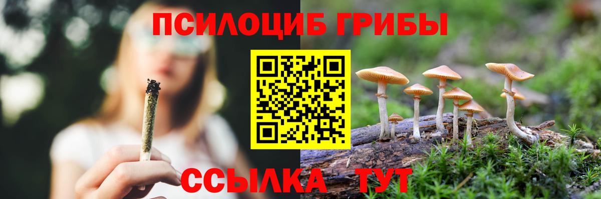 Галлюциногенные грибы мухоморы  Липецк  Псилоцибиновые грибы MAGIC MUSHROOMS 